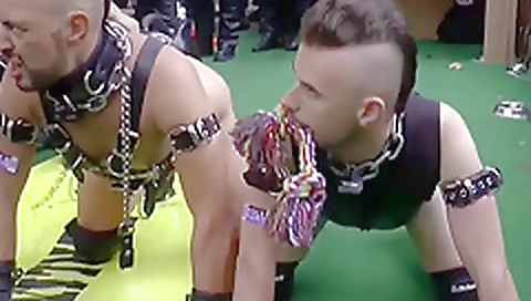 Hot brandy whimp smoky and anal with squirt