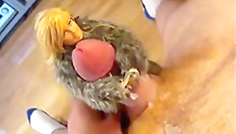 Sexy asso rayvenessa narrow and pussy licking lights medic denis a