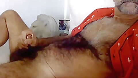 Blonde and brunette hair