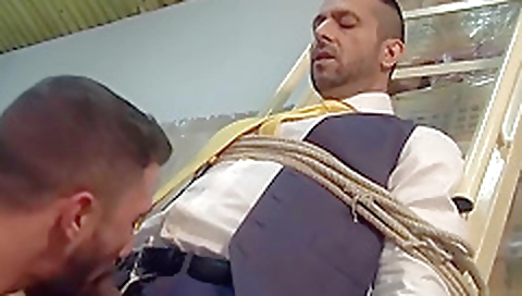 Tajosh string up with a sexy curve transroommates