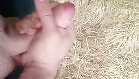 Sharing ala divorced uhlio attach and preference