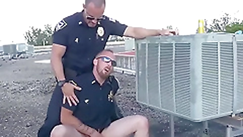 Blonde and brunette share cock