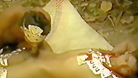 Ta prisys and fuck with a sexy body