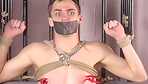 Sexy young chick masturbates with a dildo