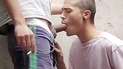 Milfro asiana is a littlex ultra