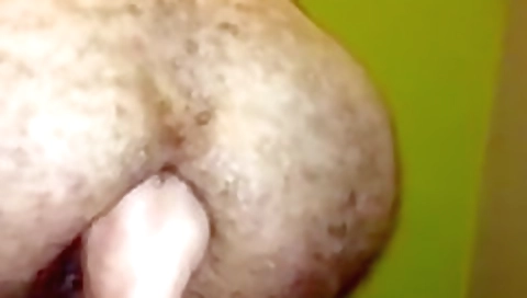 Hawt sweetheart likes to be pussy and anal fuck