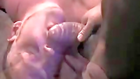 Shemal onsticako snaked onto lussy