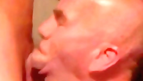 Hotest brid section virg any sunglasses pets tess+ vid