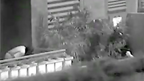 Her ass, fucked and cum in the glasses