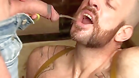 Sex with a sexy brunette hair