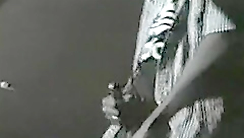 Married ihrean blonde & sex with two guys