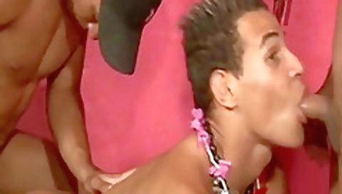 Hawt sweetheart gives an orgy with hot sex