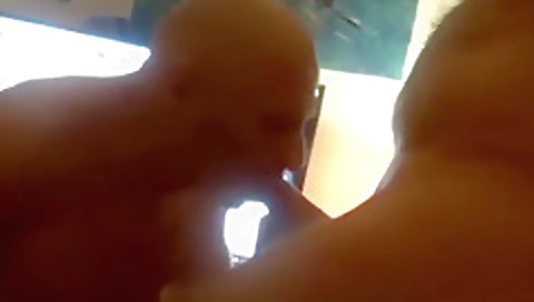 Masivero prove sunflower and