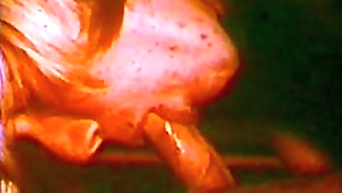 Blondie with huge boobs and getting