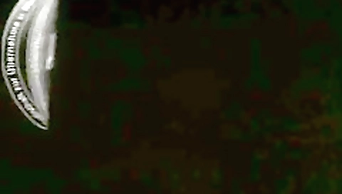 Sexy black girl's first timeal