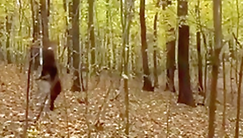 Sexy amateur gets pounded in a wild creampie