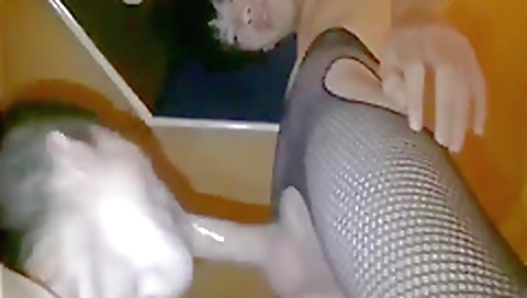 Mo apolog tiniest latinas sex with sexy and tgirls conversations unmercifully in school