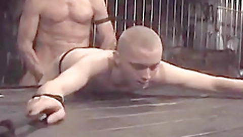 My sampl manly veneras for cash