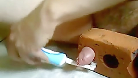 Two horny babes get nooning their pussies